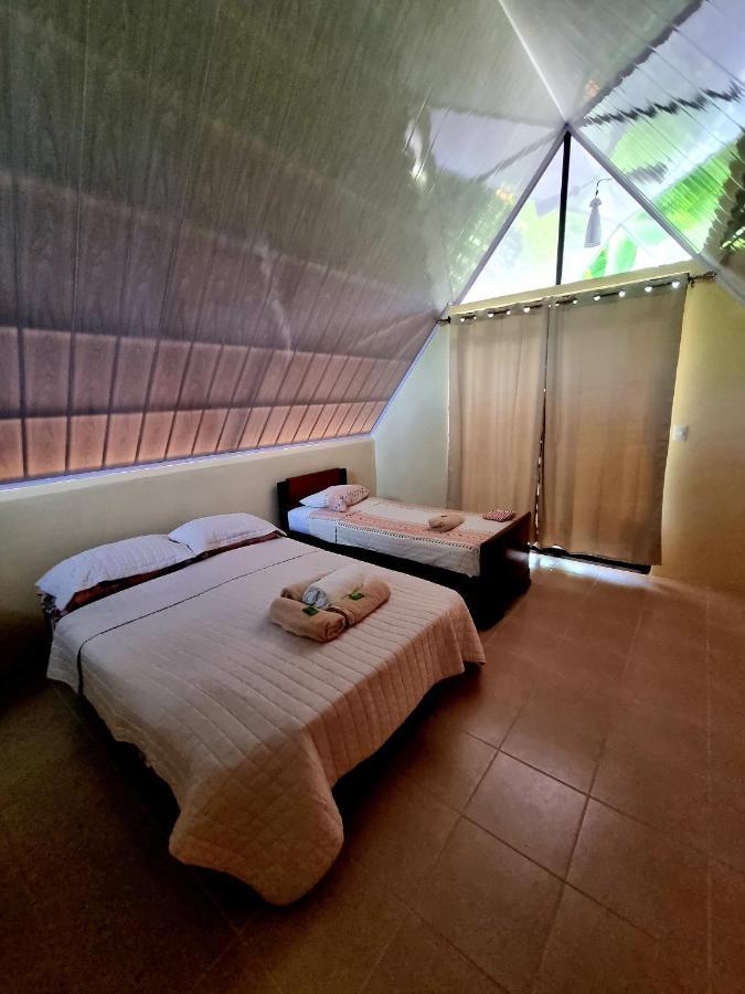 אוביטה Ballena Oasis Homes & Glamping מראה חיצוני תמונה
