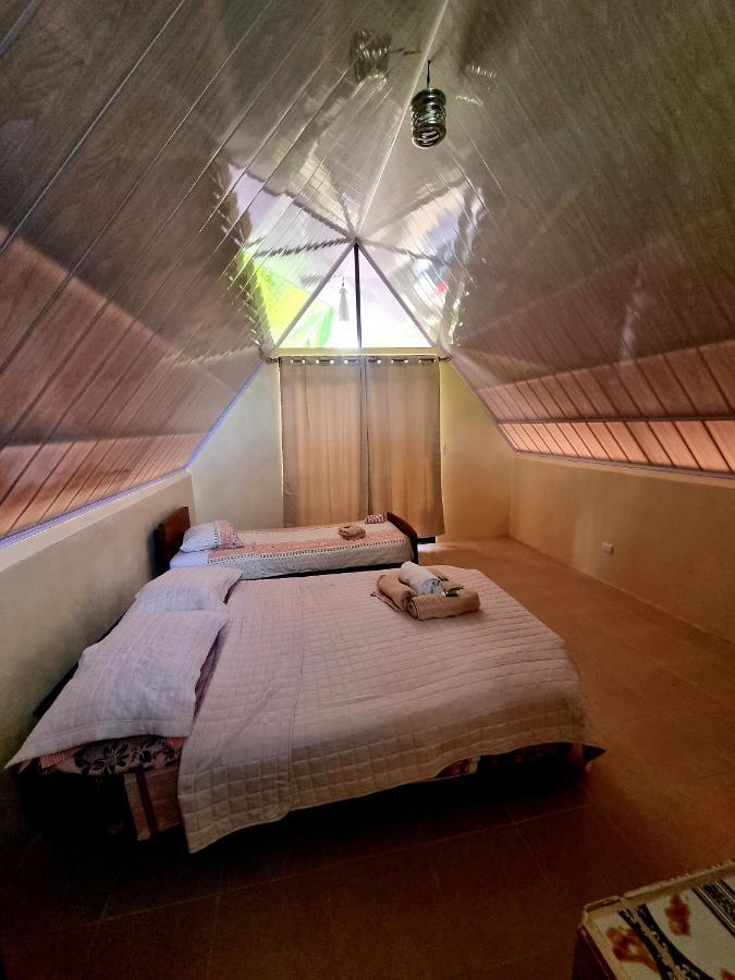אוביטה Ballena Oasis Homes & Glamping מראה חיצוני תמונה