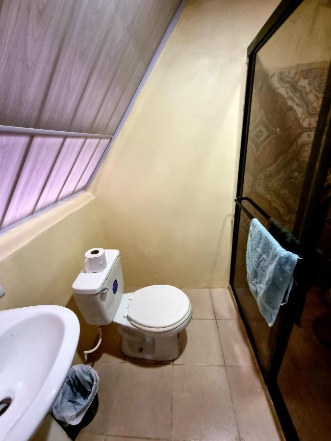 אוביטה Ballena Oasis Homes & Glamping מראה חיצוני תמונה