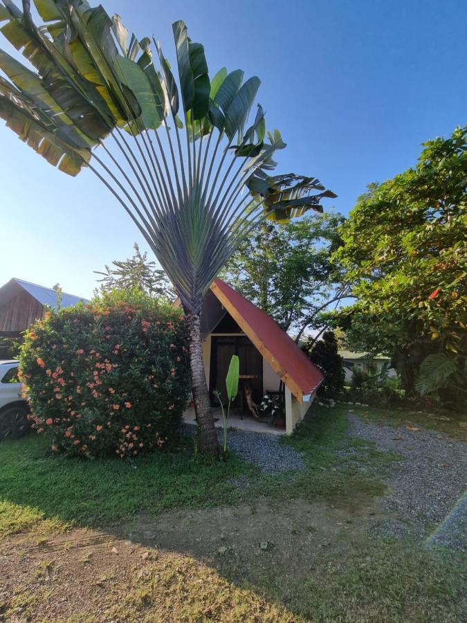 אוביטה Ballena Oasis Homes & Glamping מראה חיצוני תמונה