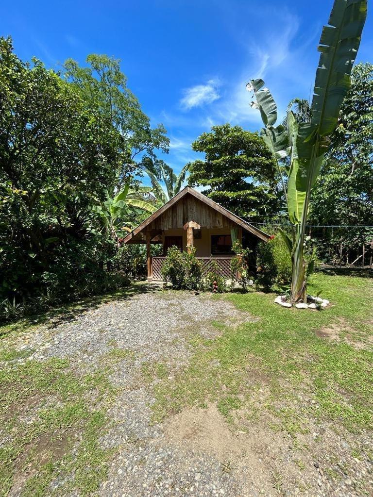 אוביטה Ballena Oasis Homes & Glamping מראה חיצוני תמונה
