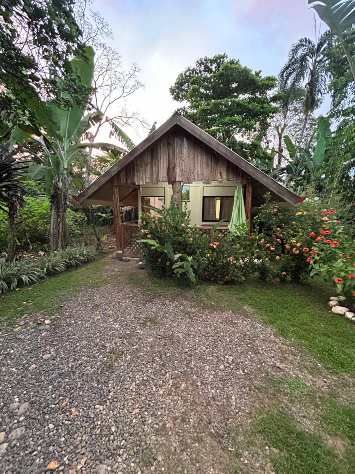 אוביטה Ballena Oasis Homes & Glamping מראה חיצוני תמונה