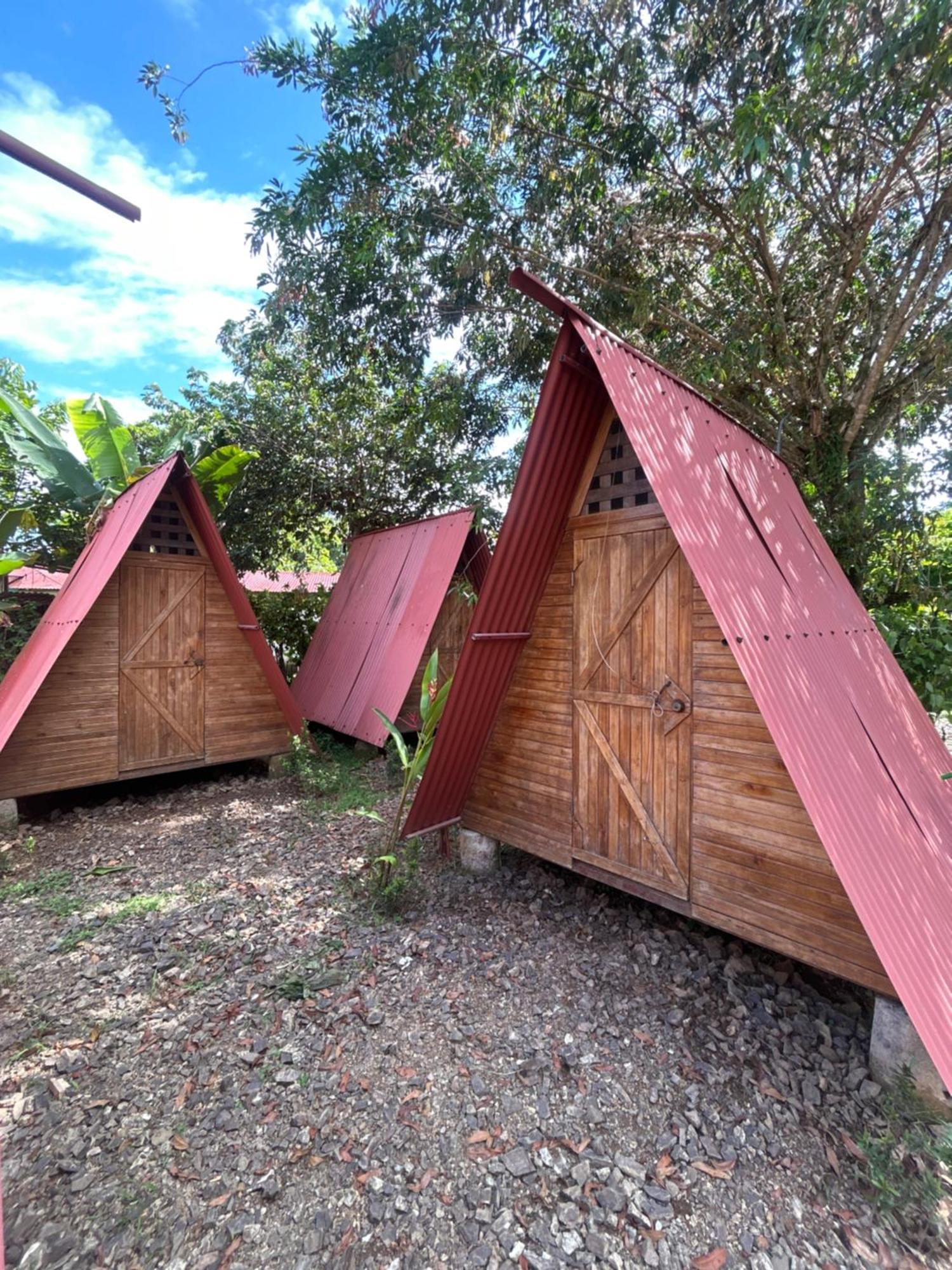 אוביטה Ballena Oasis Homes & Glamping מראה חיצוני תמונה